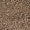 Cheetah Swatch