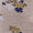 Oatmeal Ditsy Swatch