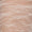 Ivory Swatch
