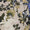 Ivory Multi Swatch