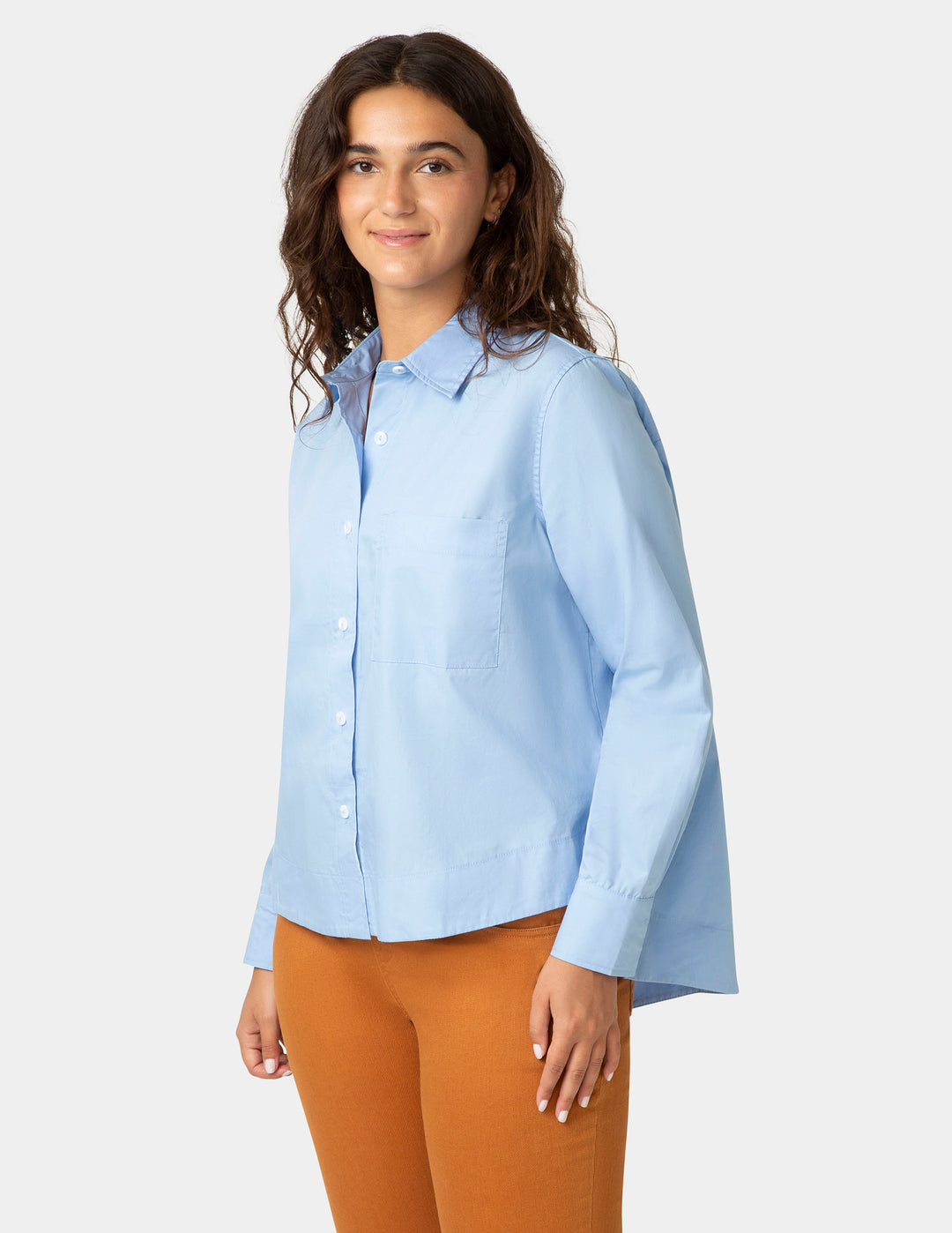 The Perfect Poplin Shirt