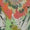 Multi Swatch